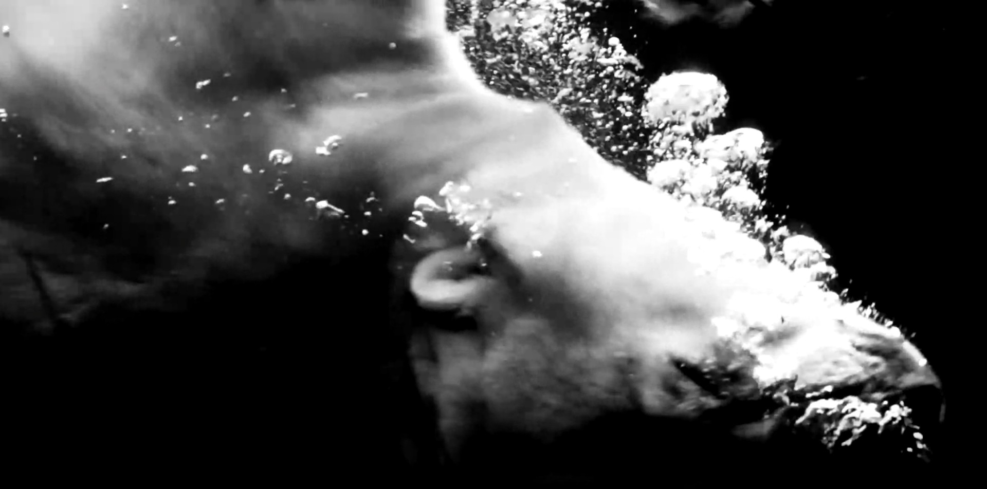 Ein Eisbär taucht ins Wasser