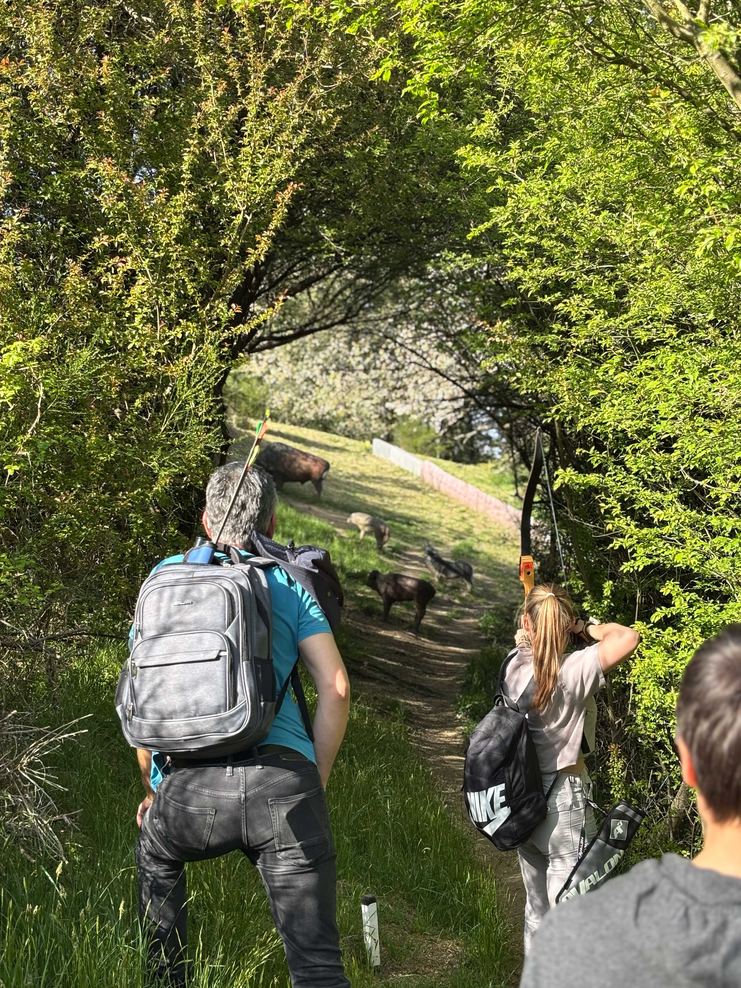 Menschen wandern auf einem Weg mit Tieren.